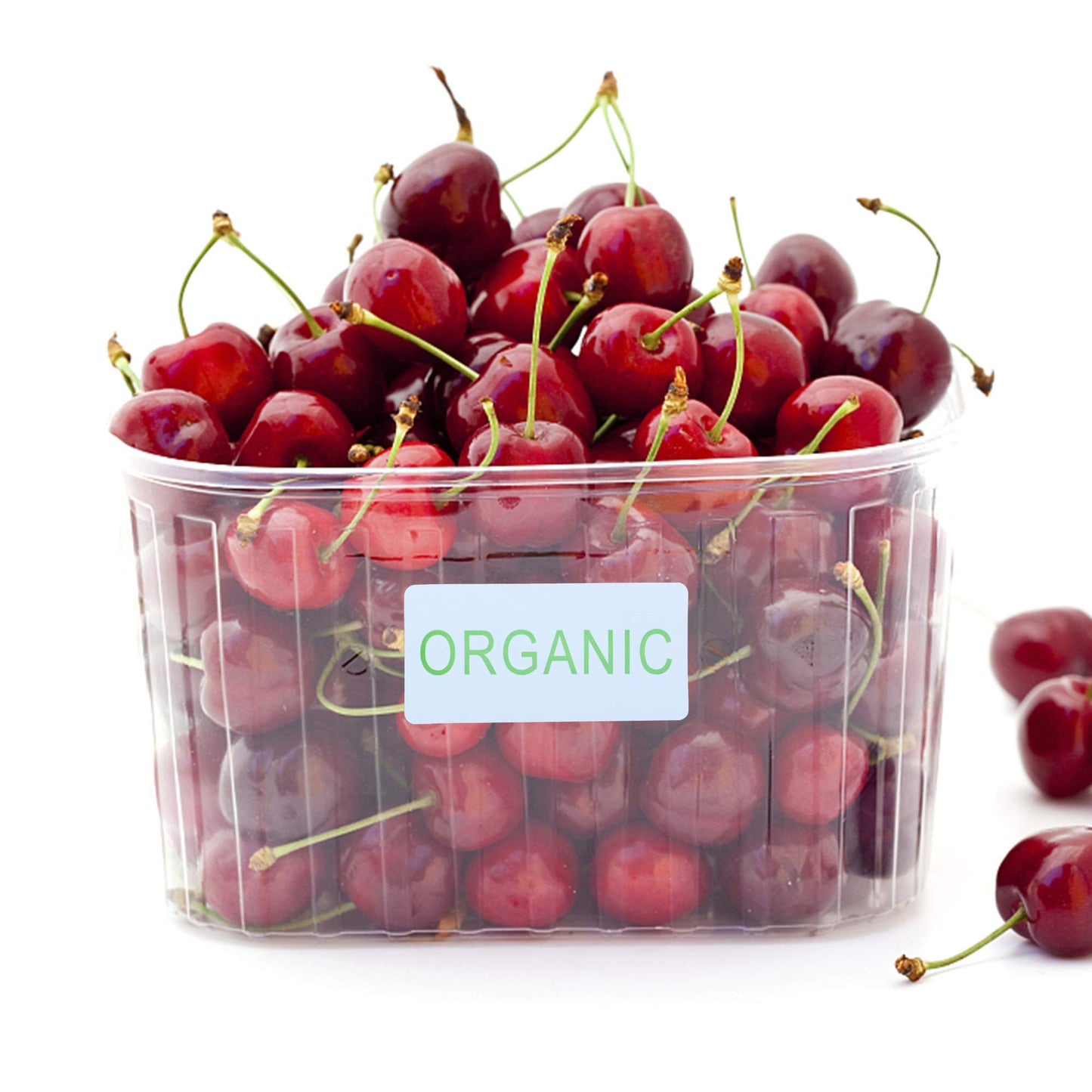 Hybsk White with Green Organic Rectangle Stickers, 1 x 2 Inches in Size, 500 Labels on a Roll